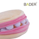 TÍTERE DENTADURA