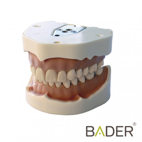 FRASACO ANA-4 COMPATÍVEL COM CLONUS TYPODONT + CHAVE DE PARAFUSOS