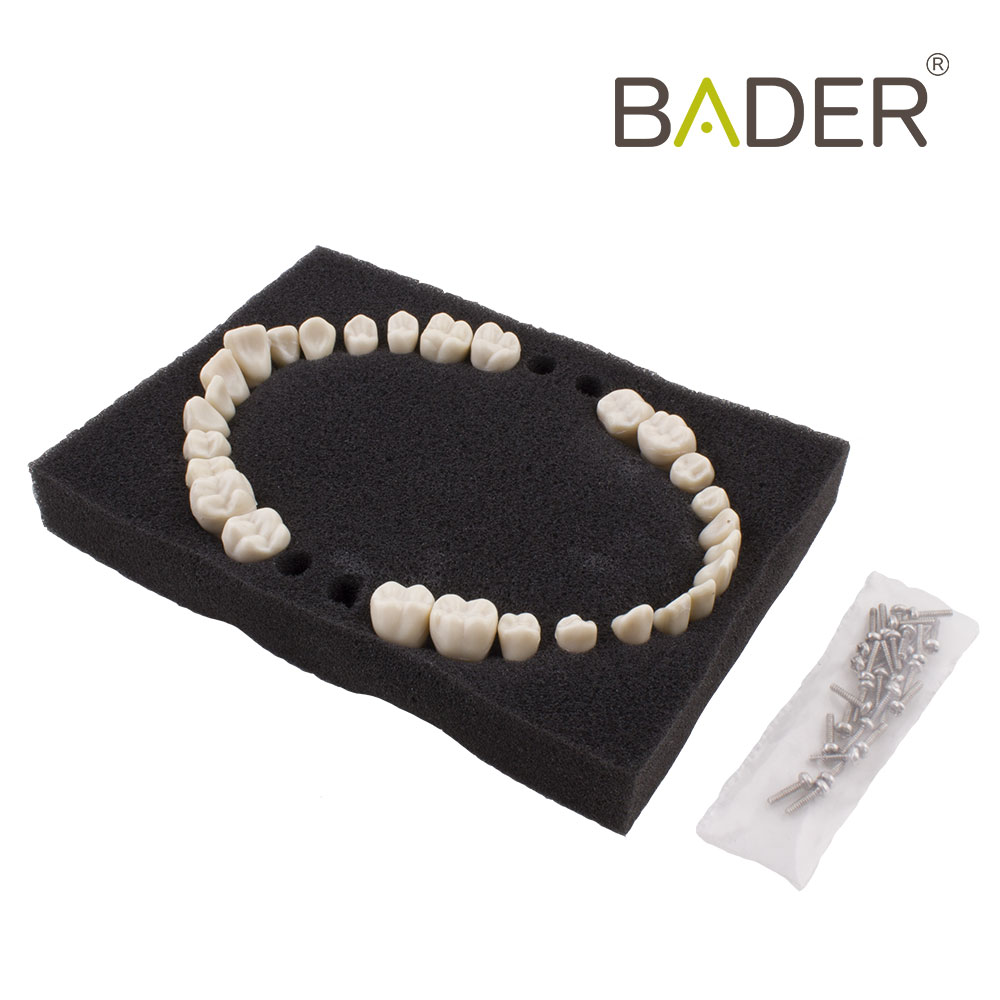 CONJUNTO 28 DENTES DE SUBSTITUIÇÃO TYPODONT TIPO ANA-4